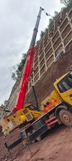 جيد مستعملة Crane 2018 STC 25 Ton Sany Truck Crane